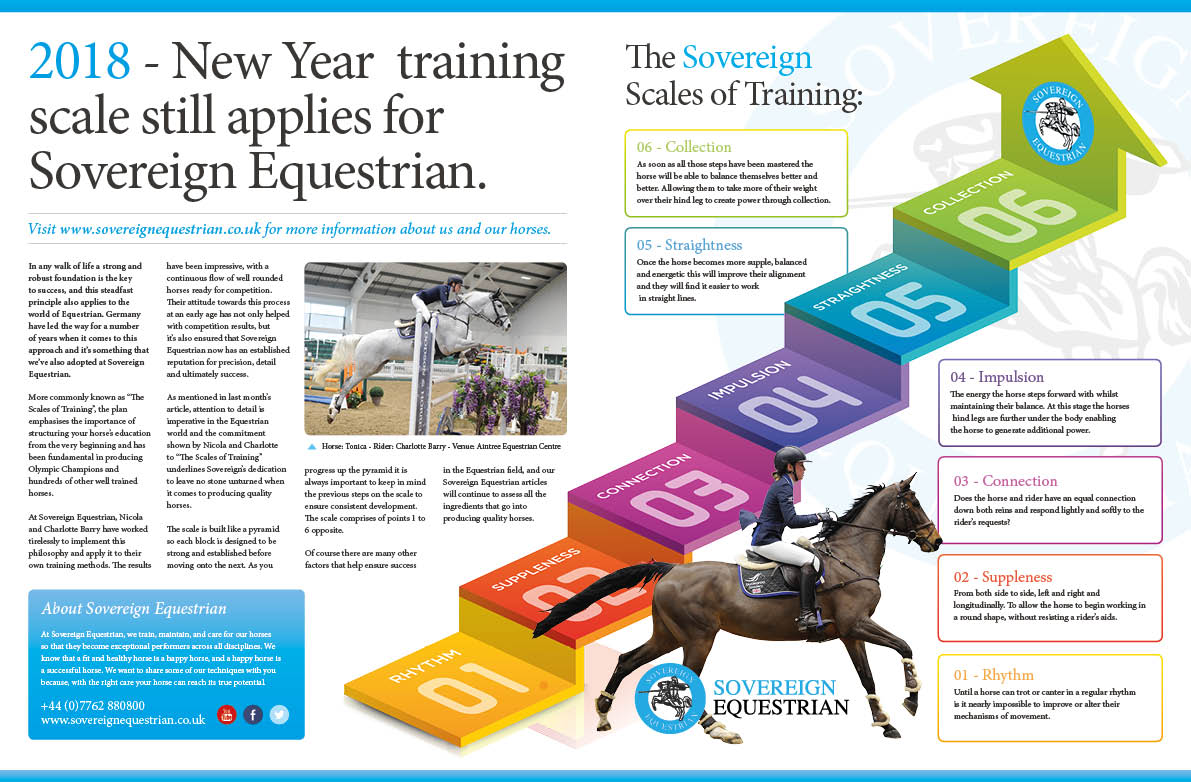 DPS Sovereign artwork