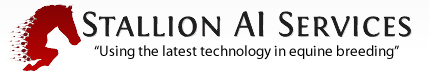 Stallion AI Services