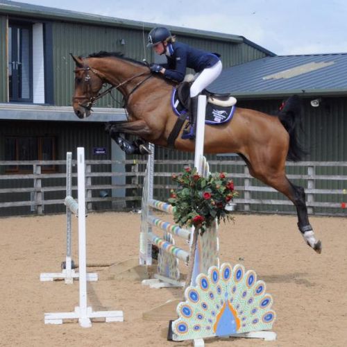 18835822 10158917952985790 7486879802845175875 n