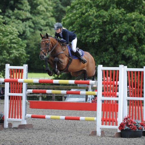 blueaddington3